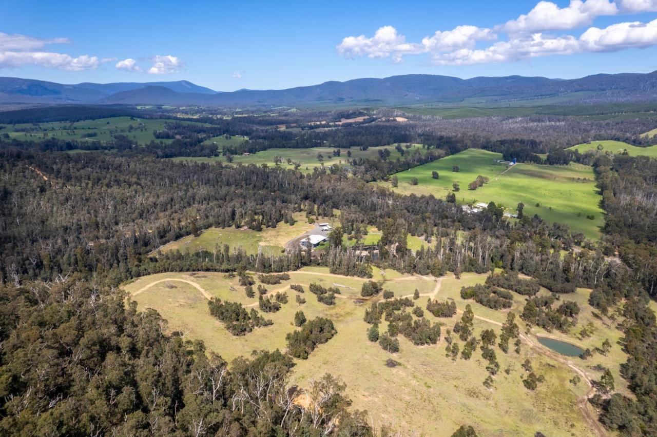 Saladin Lodge Narbethong Esterno foto