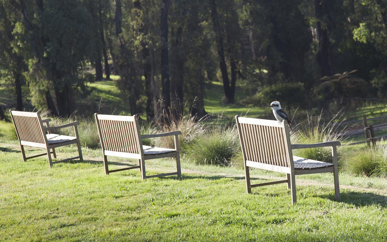 Saladin Lodge Narbethong Esterno foto