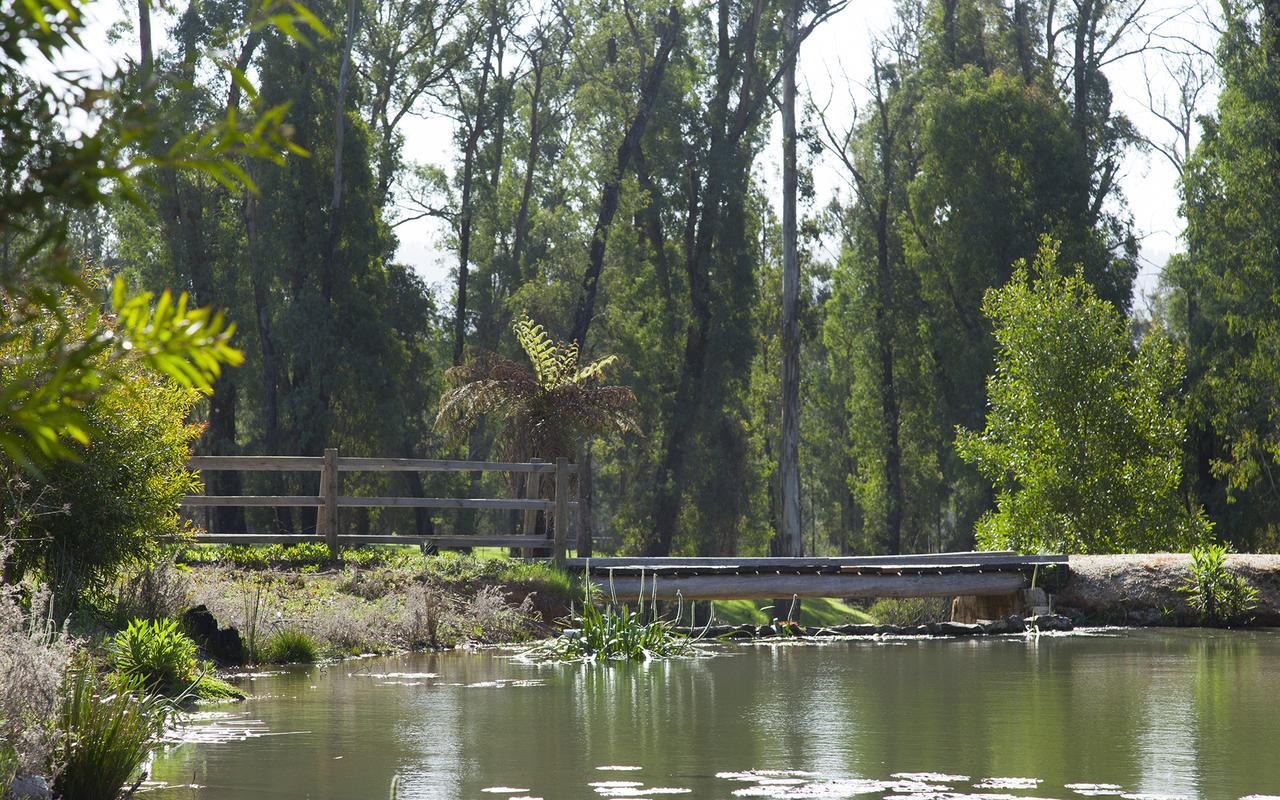 Saladin Lodge Narbethong Esterno foto