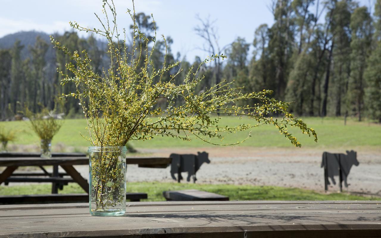 Saladin Lodge Narbethong Esterno foto