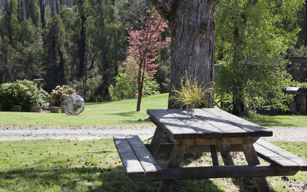 Saladin Lodge Narbethong Esterno foto