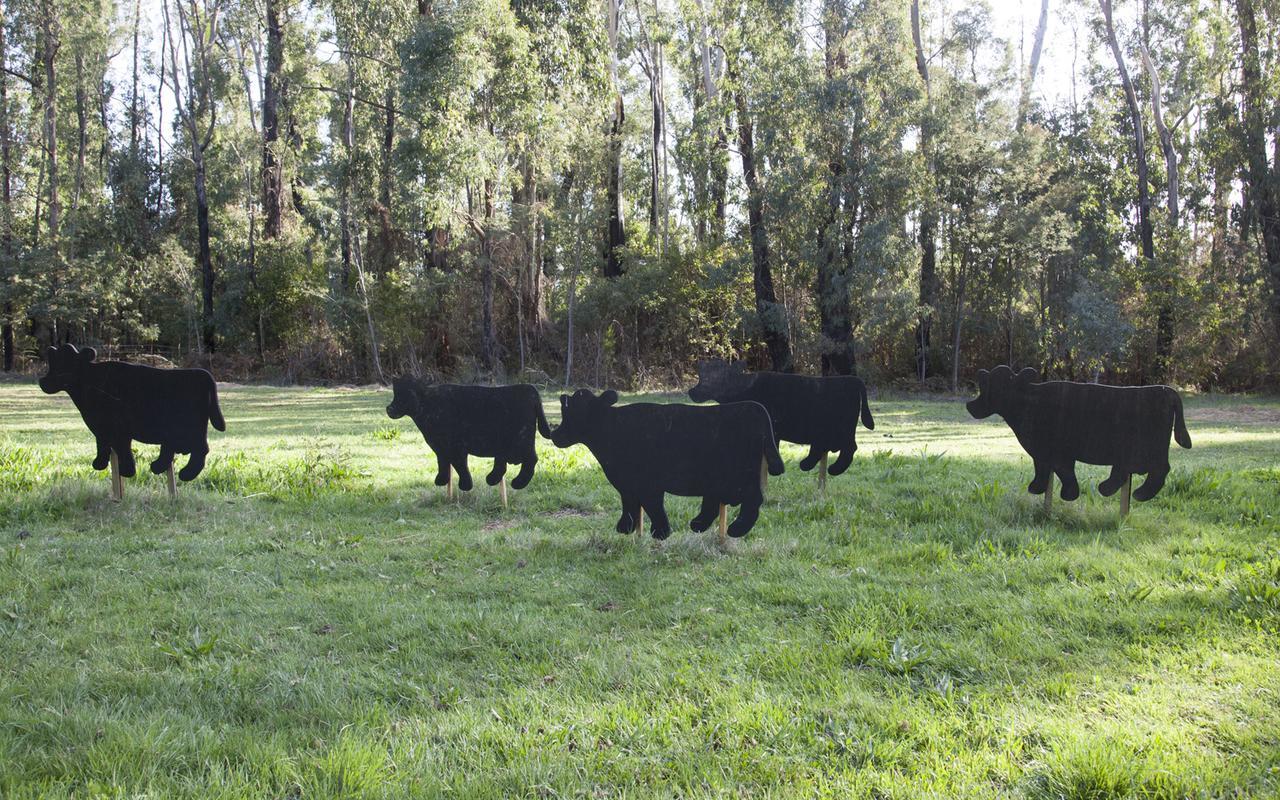 Saladin Lodge Narbethong Esterno foto
