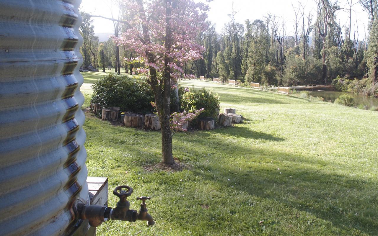 Saladin Lodge Narbethong Esterno foto