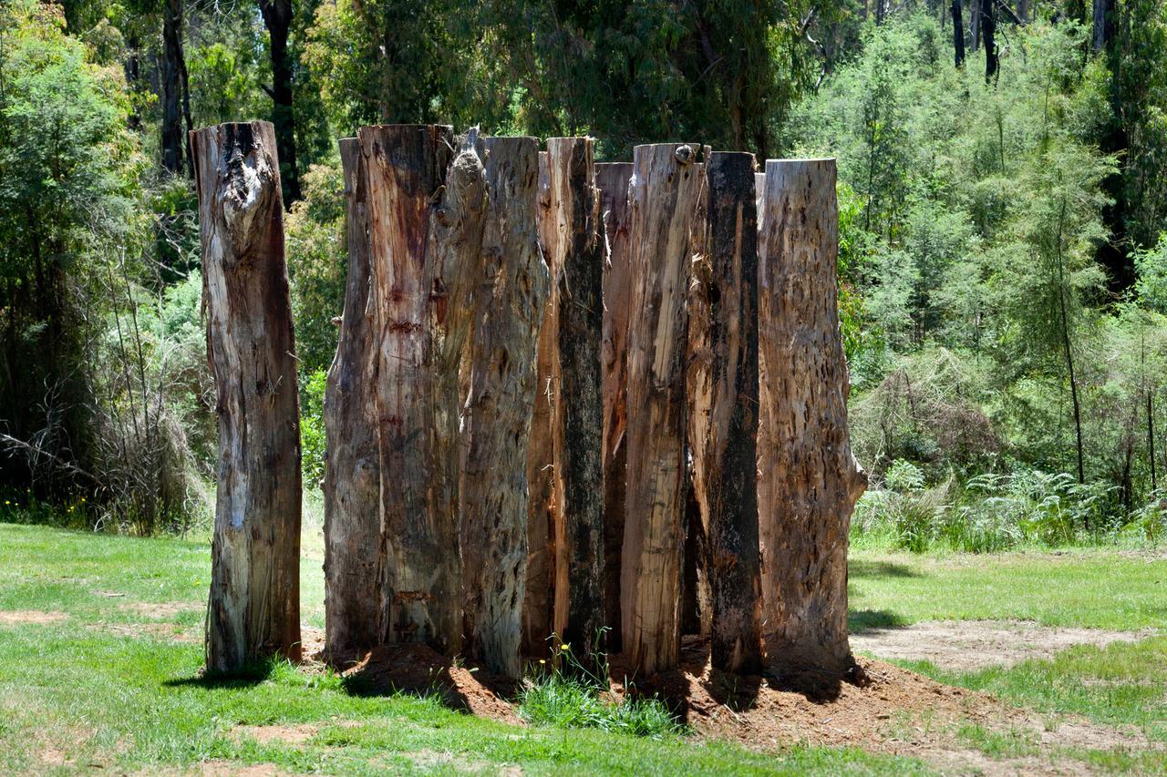 Saladin Lodge Narbethong Esterno foto