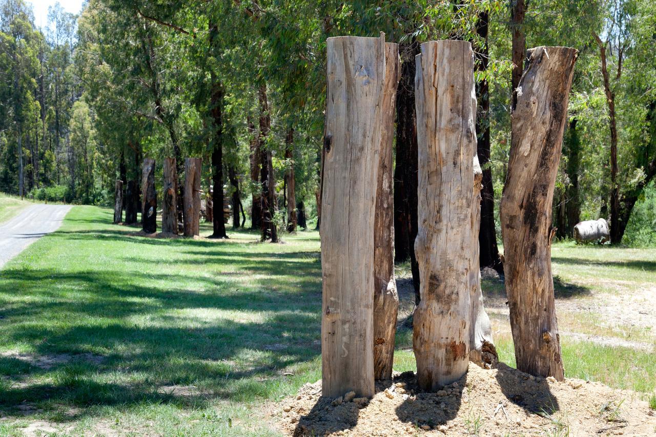 Saladin Lodge Narbethong Esterno foto